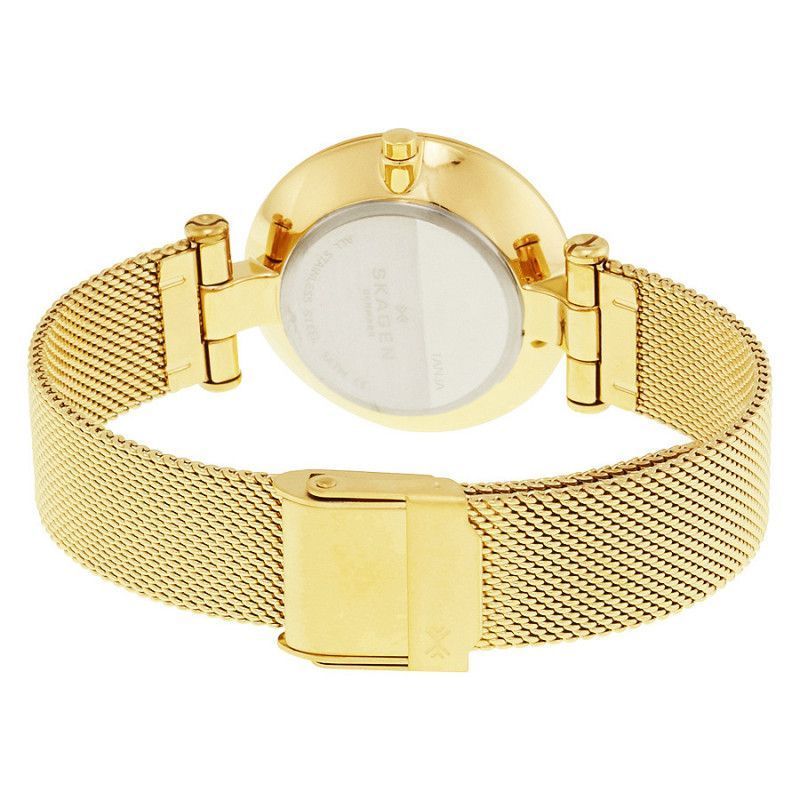 Ceas de dama Skagen Tanja SKW2486