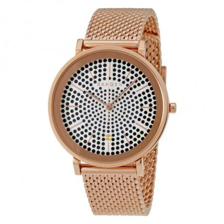 Ceas de dama Skagen Hald SKW2447