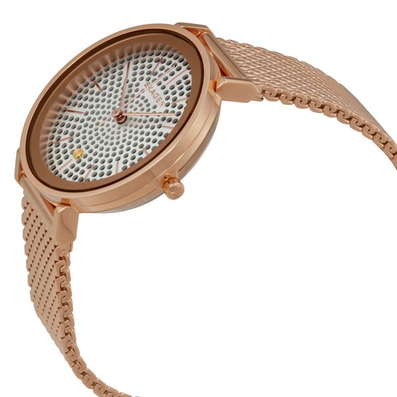 Ceas de dama Skagen Hald SKW2447