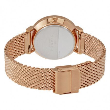 Ceas de dama Skagen Hald SKW2447