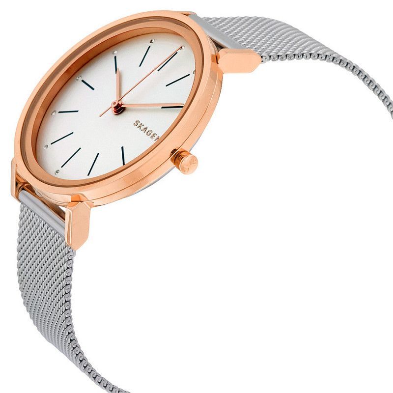 Ceas de dama Skagen Hald SKW2506