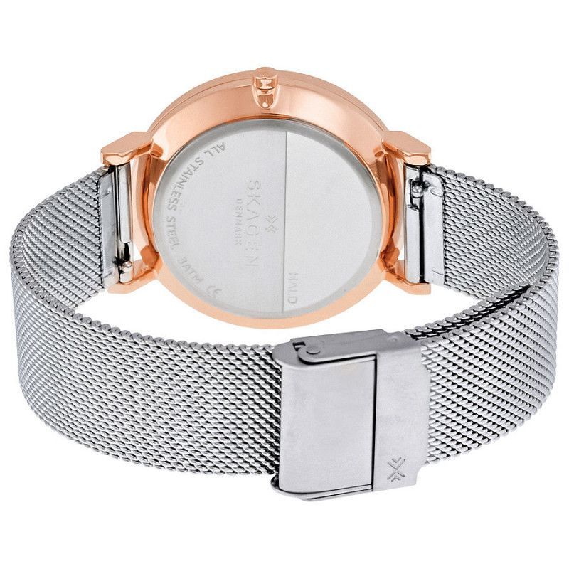 Ceas de dama Skagen Hald SKW2506