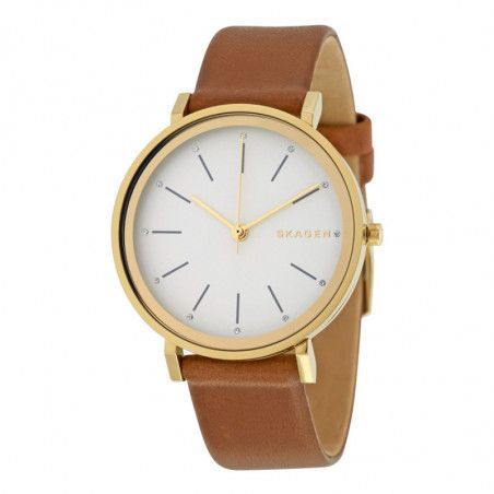 Ceas de dama Skagen Hald SKW2512