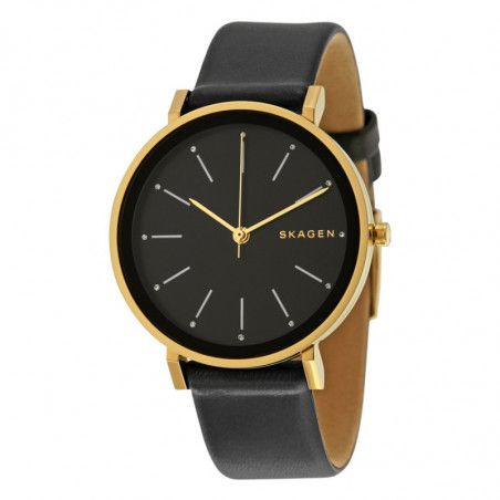 Ceas de dama Skagen Hald SKW2511