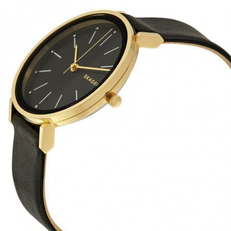 Ceas de dama Skagen Hald SKW2511
