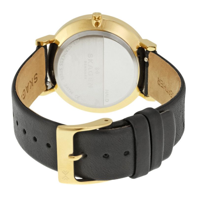 Ceas de dama Skagen Hald SKW2511