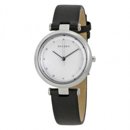 Ceas de dama Skagen Tanja SKW2467