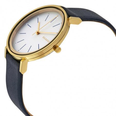 Ceas de dama Skagen Hald SKW2510