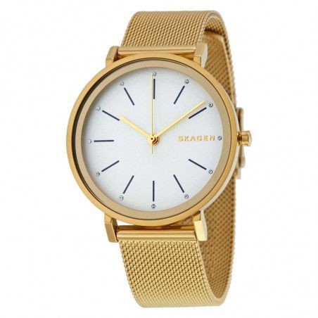 Ceas de dama Skagen Hald SKW2509