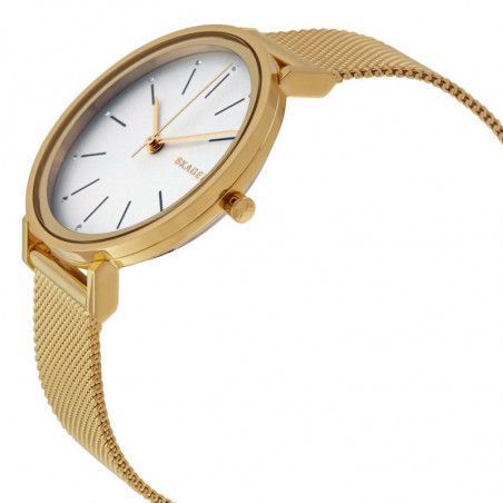 Ceas de dama Skagen Hald SKW2509
