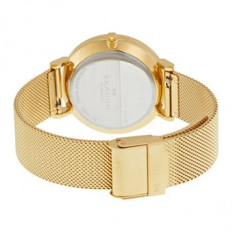 Ceas de dama Skagen Hald SKW2509