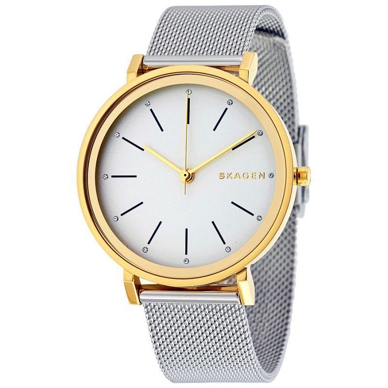 Ceas de dama Skagen Hald SKW2508