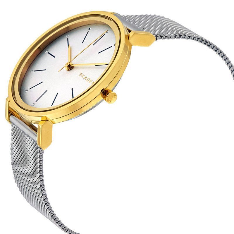 Ceas de dama Skagen Hald SKW2508