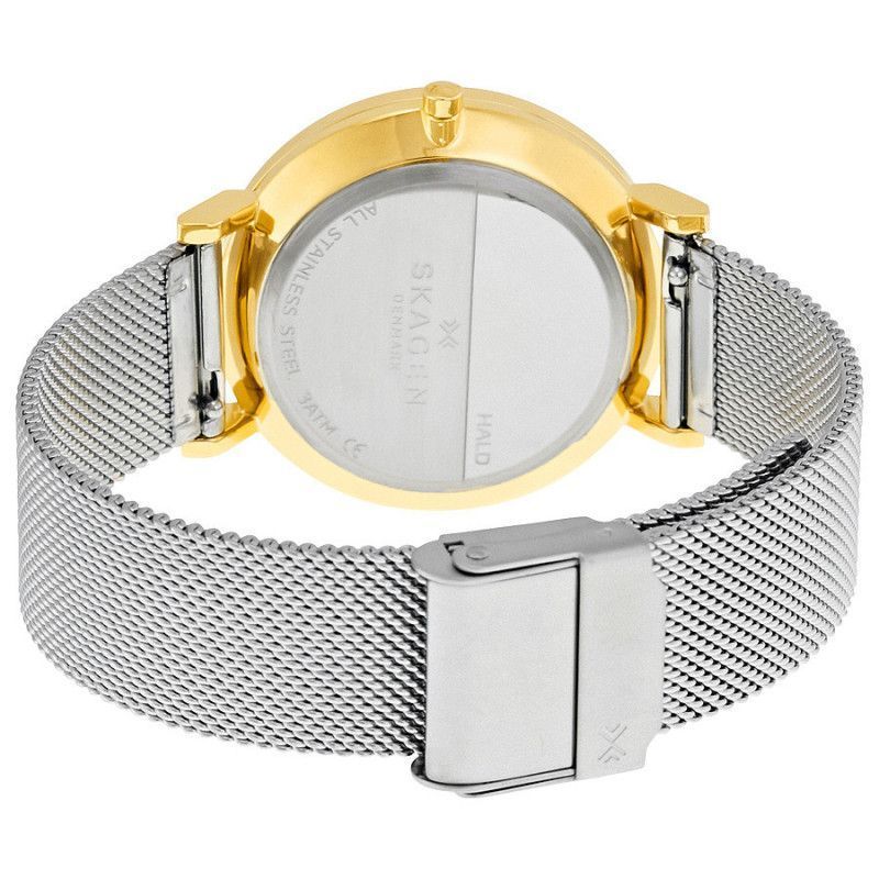 Ceas de dama Skagen Hald SKW2508