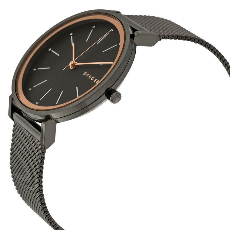 Ceas de dama Skagen Hald SKW2507