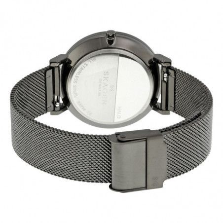 Ceas de dama Skagen Hald SKW2507