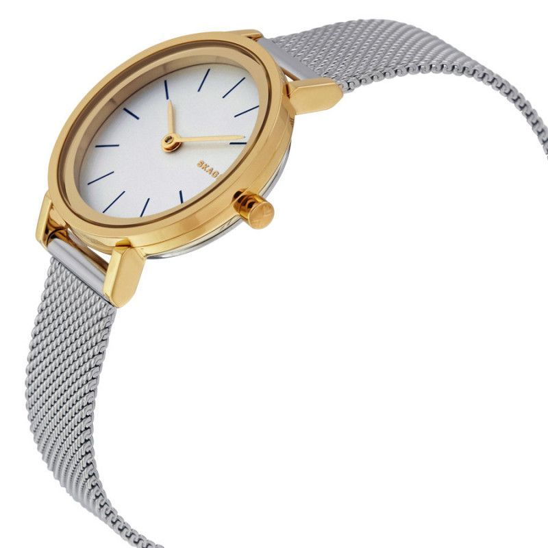 Ceas de dama Skagen Hald SKW2445