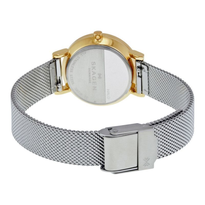 Ceas de dama Skagen Hald SKW2445