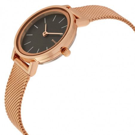 Ceas de dama Skagen Hald SKW2470