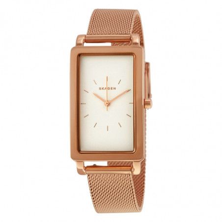 Ceas de dama Skagen Hagen SKW2466