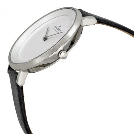 Ceas de dama Skagen Ditte SKW2261