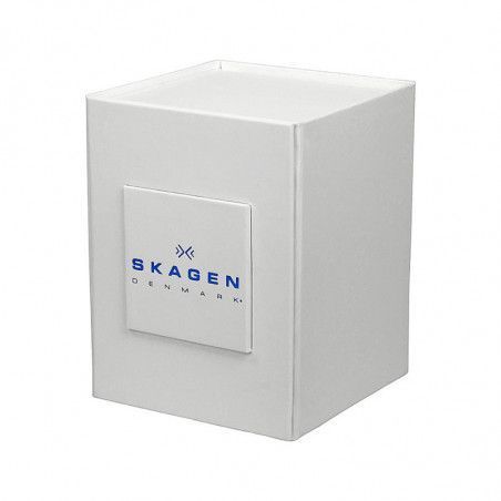 Ceas de dama Skagen Ditte SKW2261