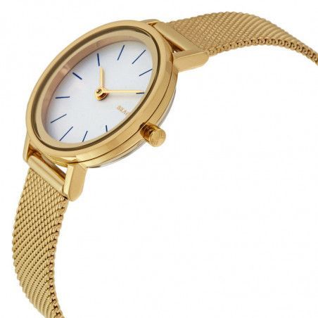 Ceas de dama Skagen Hald SKW2443