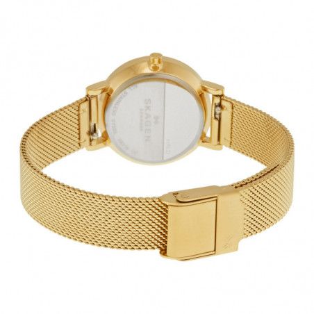 Ceas de dama Skagen Hald SKW2443