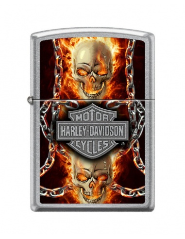 Bricheta Zippo 7376 Harley Davidson-Skull & Flames