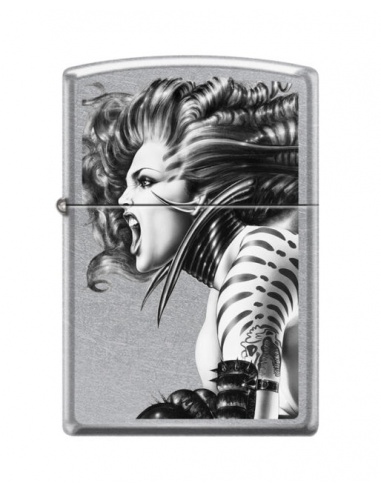 Bricheta Zippo 4427 Olivia De Berardinis Artist