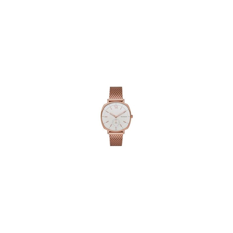 Ceas de dama Skagen Rungsted SKW2401
