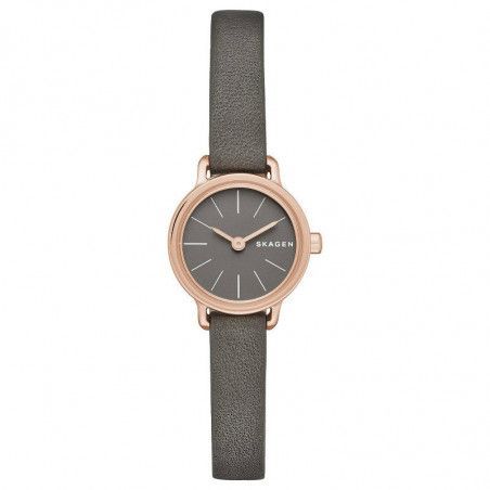 Ceas de dama Skagen Hagen SKW2359