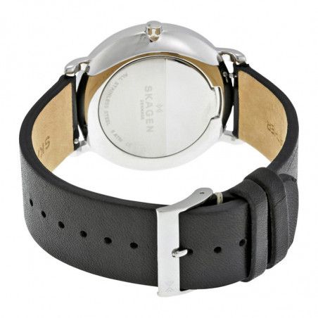 Ceas de dama Skagen Hagen SKW6274