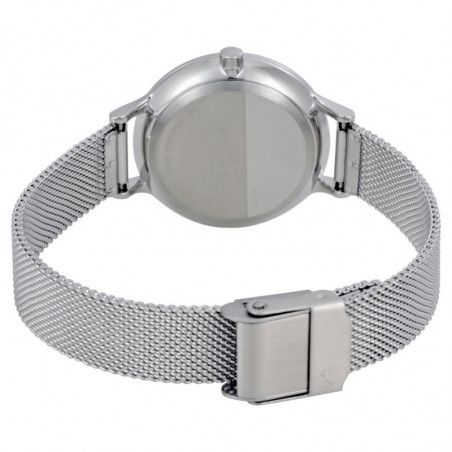 Ceas de dama Skagen Anita SKW2410