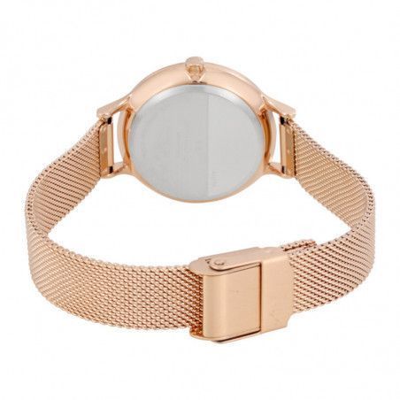 Ceas de dama Skagen Anita SKW2413