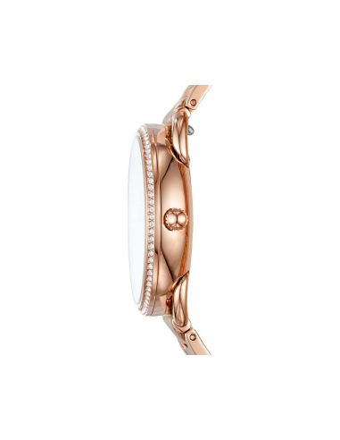 Ceas de dama Fossil Tailor ES4264