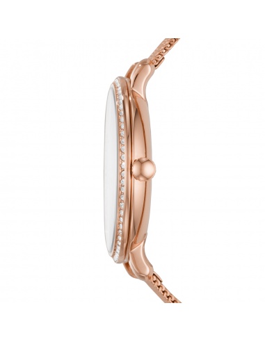 Ceas de damă Fossil Jacqueline ES4628