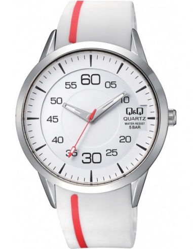 Ceas barbatesc Q&Q Standard Q982J301Y
