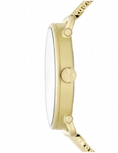 Ceas barbatesc Armani Exchange Gents AX2901