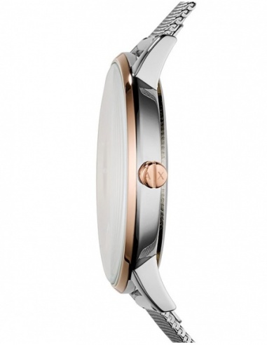 Ceas de dama Armani Exchange Ladies AX5537