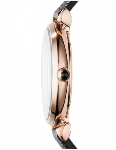 Ceas de dama Emporio Armani Donna AR11060