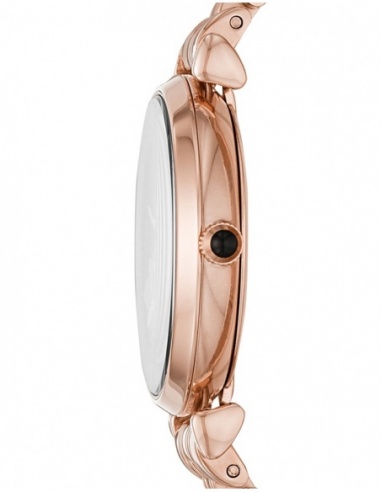 Ceas de dama Emporio Armani Donna AR11206