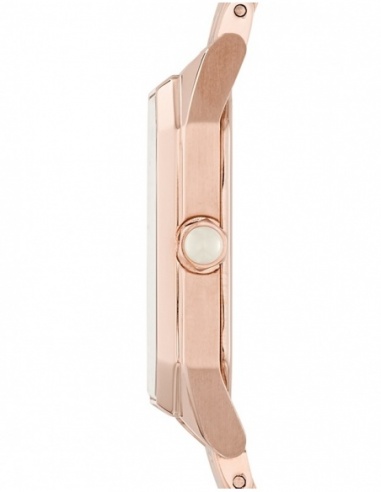 Ceas de dama Emporio Armani Donna AR11147
