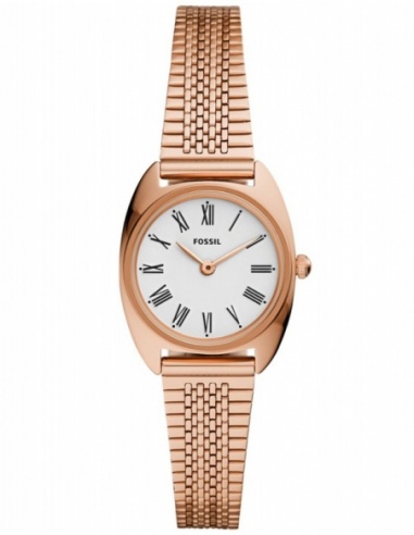 Ceas de dama Fossil Jude ES4805