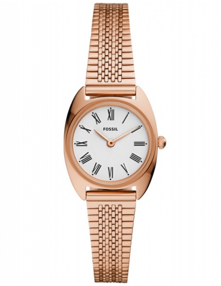 Ceas de dama Fossil Jude ES4805