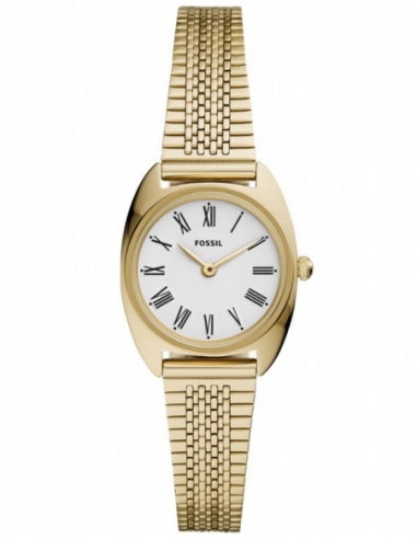 Ceas de dama Fossil Jude ES4804
