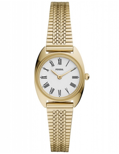 Ceas de dama Fossil Jude ES4804