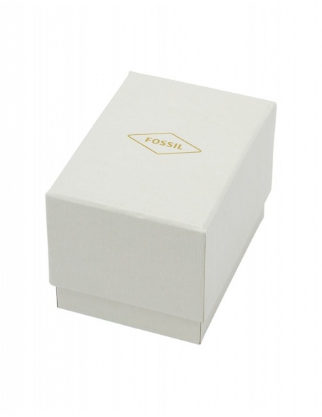 Ceas de dama Fossil Carlie ES4867SET
