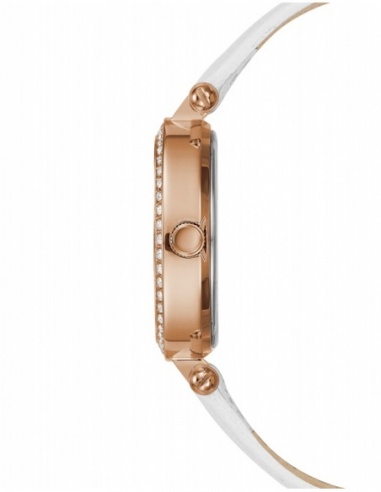 Ceas de dama Guess Ladies Dress GUW1230L3