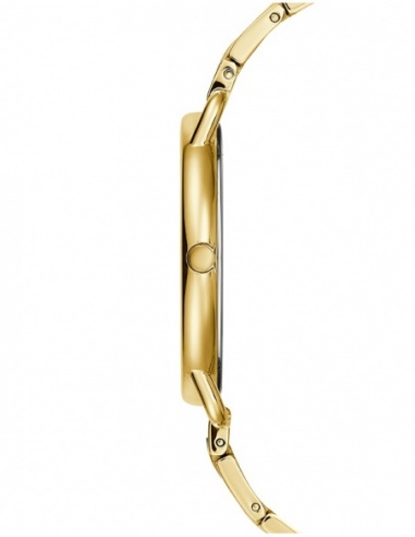 Ceas de dama Guess Ladies Dress GUW1149L2